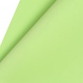 Китайский фоамиран 1 мм, 60*70 см, салатовый №1053