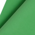 Китайский фоамиран 1 мм, 49*49 см, зеленый №2